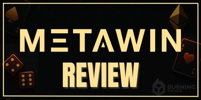 MetaWin Review 1