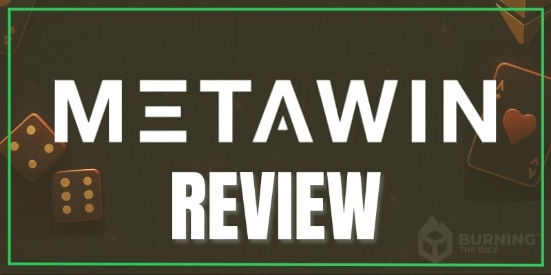 MetaWin Review 2