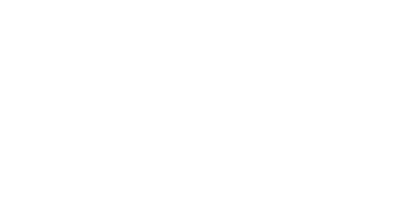 Stake logo btd